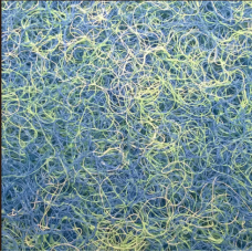 TAPETE JAPONÊS ESPECIAL (1X2m)